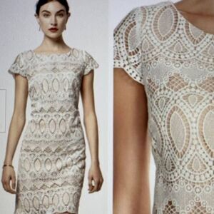 Eliza J White Lace Bridal Minidress Size 0P NWOT